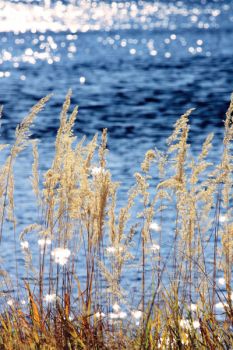 The Nature Conservancy oversees thousands of acres of grassland in South Dakota.