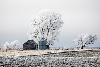 Frosted landscape in rural Lake County.