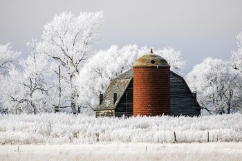 Frosted landscape in rural Lake County.