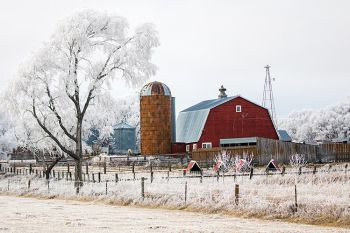 Frosted landscape in rural Lake County.