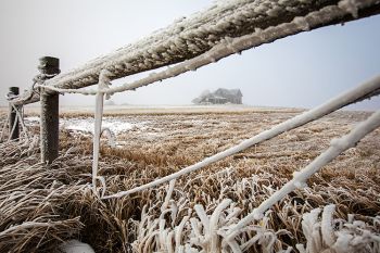 Frost on the corner posts with an abandoned house along Highway 12 near Java.