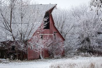 Frost with a red barn in rural Minnehaha County.