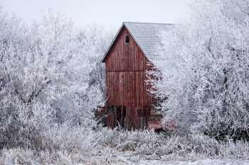 Frost with a red barn in rural Minnehaha County.