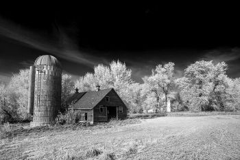 When the sun comes out, blue skies with white frost make great black and white photos.