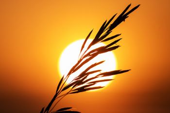 Sunset at Makoce Washte Native Prairie Preserve near Wall Lake.