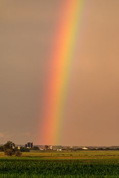 Rainbow over a dairy farm in rural Davison County.