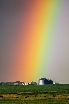 Photographed with a telephoto lens to capture the colors in more detail.