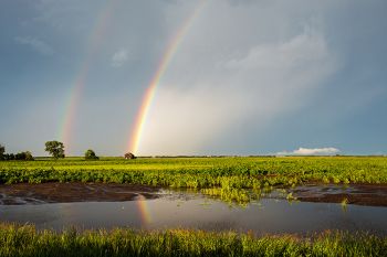 Double rainbow reflected with abandoned farmhouse.