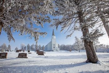 Frost falling as the sun and breeze release it from the trees surrounding Lake Whitewood Lutheran of rural Kingsbury County.