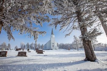 Frost falling as the sun and breeze release it from the trees surrounding Lake Whitewood Lutheran of rural Kingsbury County.