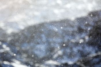 Large snowflakes highlighted by the winter sunlight.