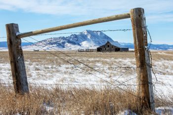 Bear Butte framed in Meade County.