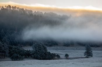 Fog at dawn at Custer State Park.