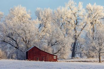 A red outbuilding on a frosty morning in Minnehaha County.