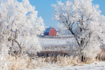 A red barn stands out against the frosty landscape of rural Moody County.