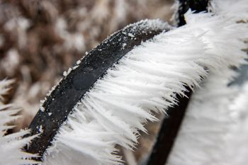 Long and delicate soft rime ice on the gate of Goodhue Lutheran in Codington County.