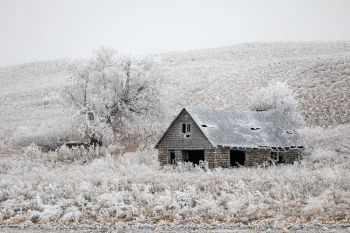 A wintery scene just east of Pickerel Lake in Day County.