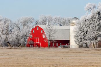 Brookings County barn and frost.