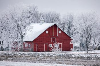 Minnehaha County barn with frost.