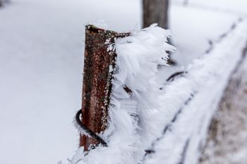 Rime ice on a steel fencepost.
