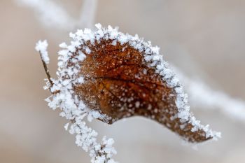 Frosty artwork at Lake Vermillion Recreation Area.