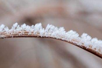 Frosty artwork at Lake Vermillion Recreation Area.