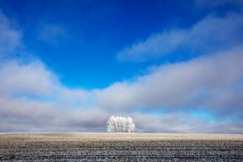 The sky clearing after a frosty morning in rural Moody County.