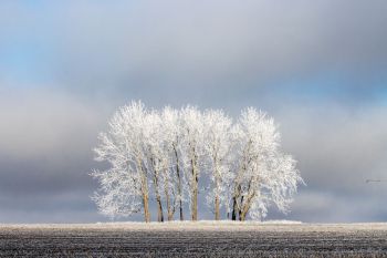 Winter mood in Moody County.