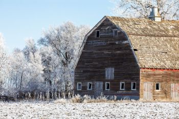 Another Lake County barn framed by frost.