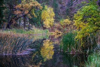 Autumn mirrored along Grace Coolidge Creek.