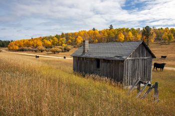 High country autumn in Lawrence County.