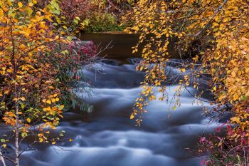 A long exposure of Spearfish Creek with autumn accents.