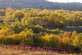 Sica Hollow country in late September.