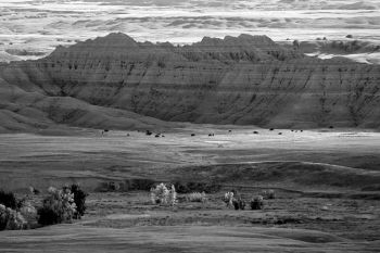 Autumn in the Badlands (with distant bison) rendered in black and white.