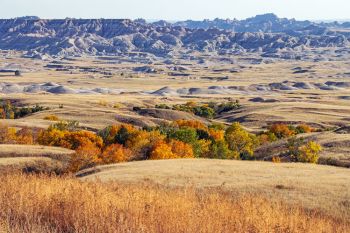 Autumn splendor in the high draws of the Sage Creek Wilderness of Badlands National Park.