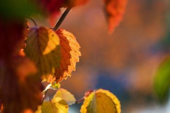 Terrace Park, 2018 Terrace Park, 2018