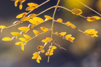 Palisades State Park, 2025 Palisades State Park, 2025