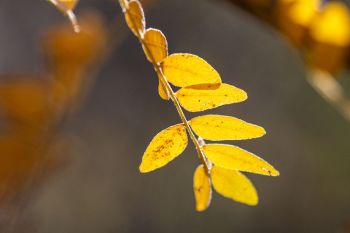 Palisades State Park, 2025 Palisades State Park, 2025