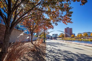 Arc of Dreams, 2025 Arc of Dreams, 2025