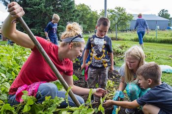 Beth Poppen teaching kids the finer details of digging up potatoes.