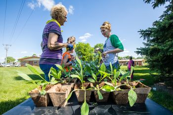 Beth Poppen handing out eggplant seedlings to transplant into the garden.