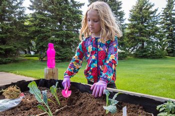 Planting day.