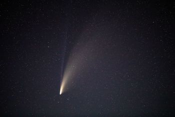 One of my last images of the comet after it had grown a secondary tail.