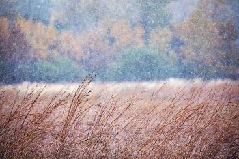 October snowfall at the Sioux Falls Outdoor Campus.