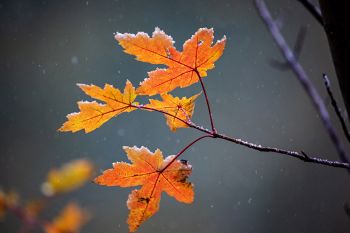 October snowfall at the Sioux Falls Outdoor Campus.