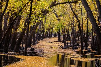 A portion of a walking trail still under water at Big Sioux Recreation Area near Brandon.