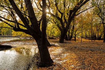 Autumn along the banks of the Big Sioux River.