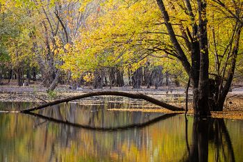 Reflections of fall at the Big Sioux Recreation Area.