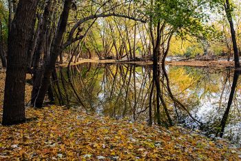 Reflections of fall at the Big Sioux Recreation Area.