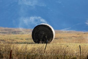 Hay bale misting in the morning sun near Castle Butte in Butte County.